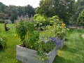 St. Paul's Parish Garden